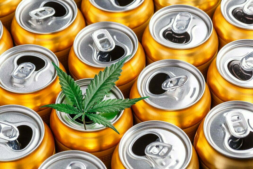 cans-yellow-leaf